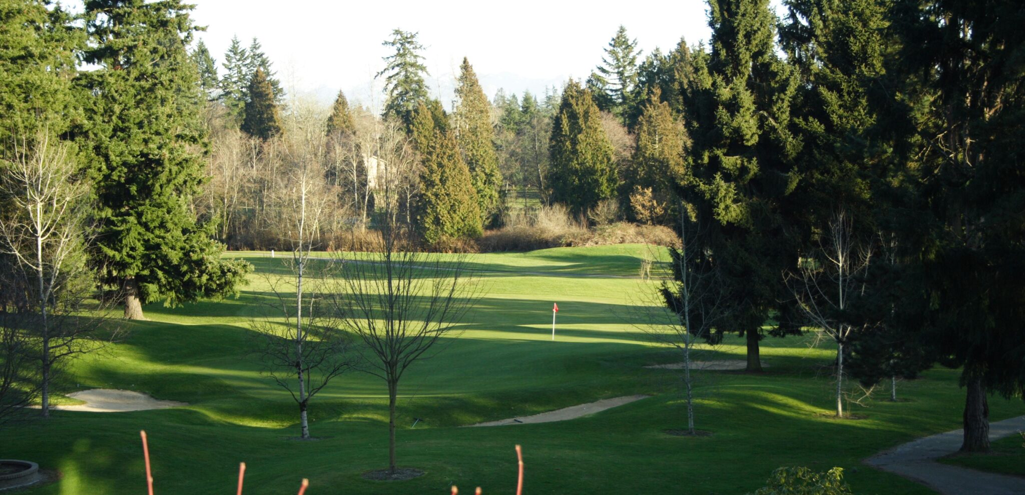 bellevue golf course