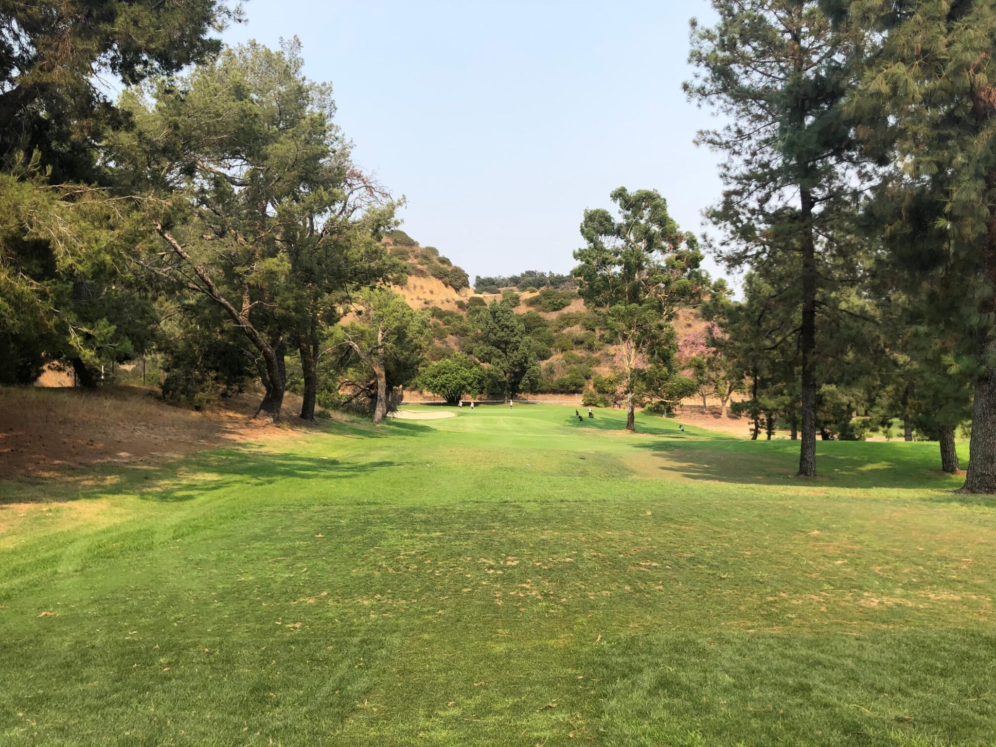 roosevelt golf course