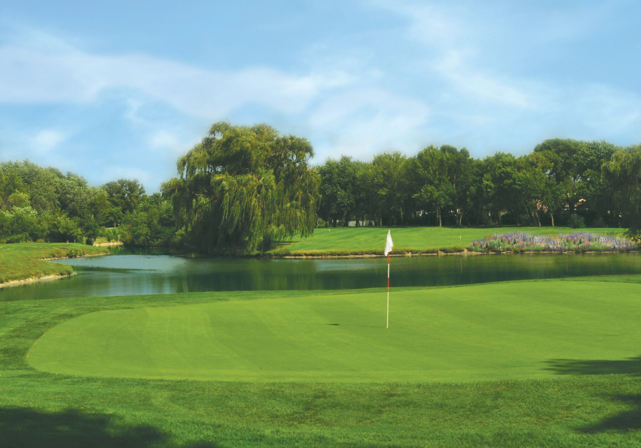 white pines golf course