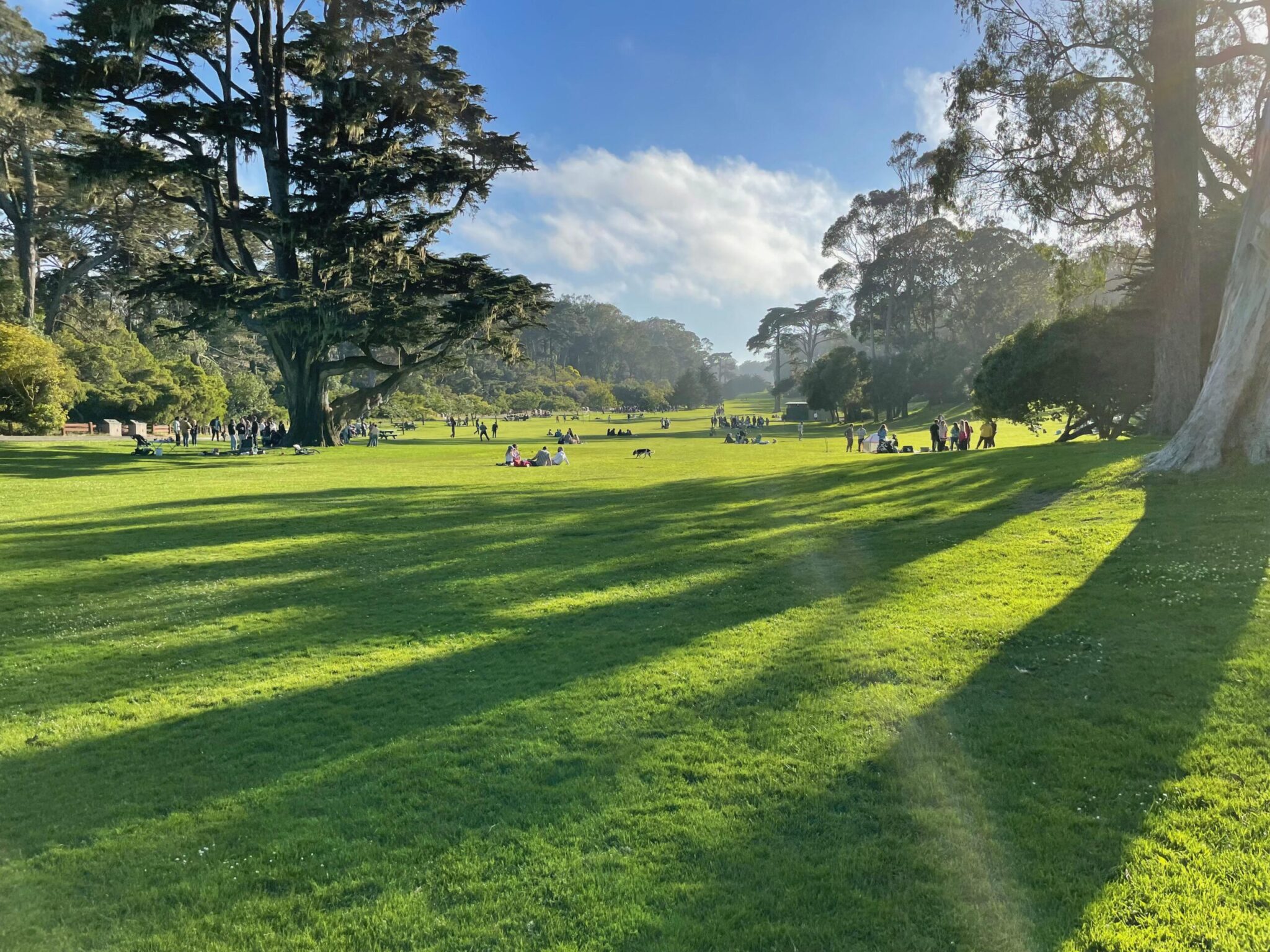 hellman hollow picnic area