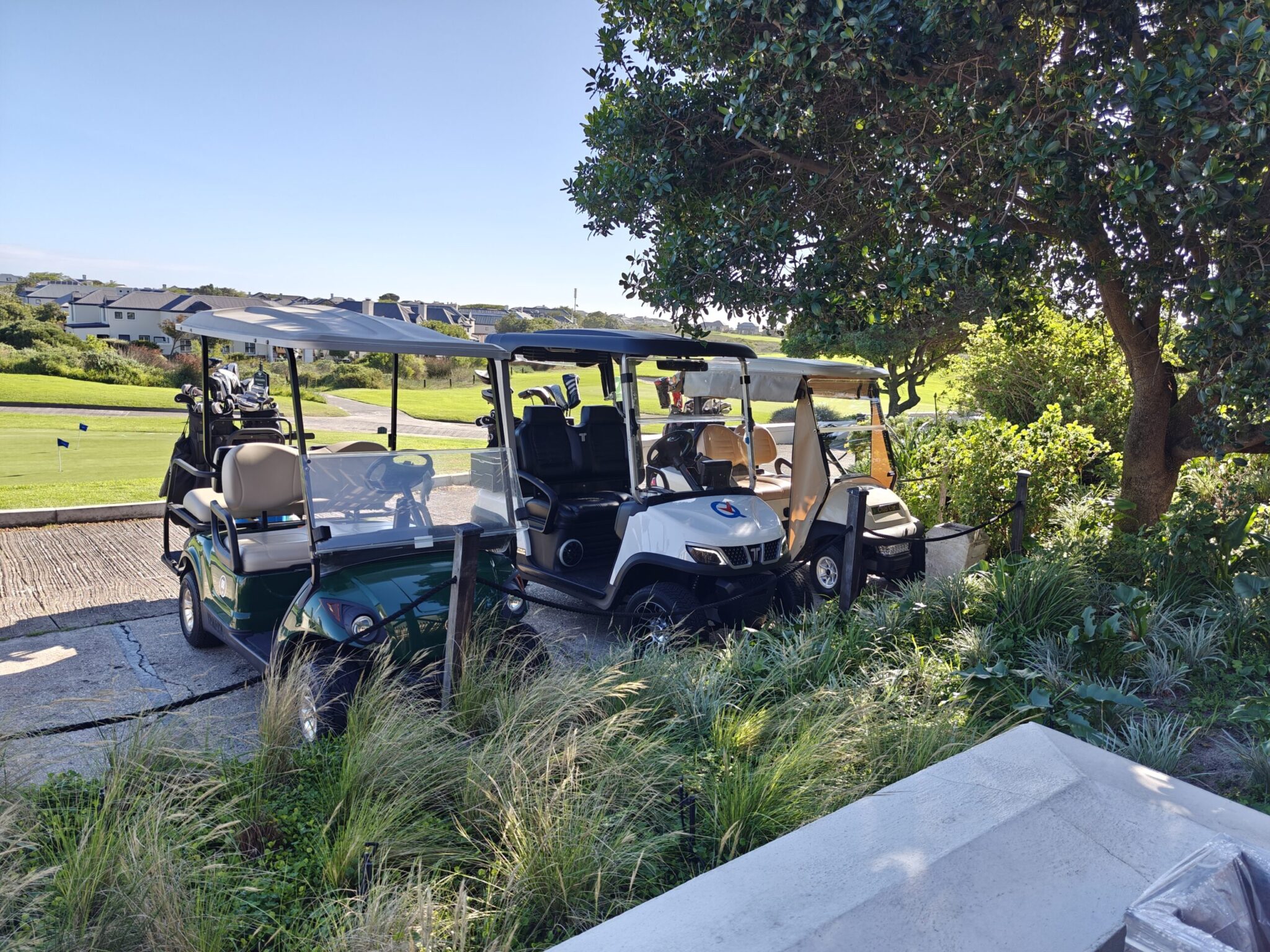 hotel golf carts