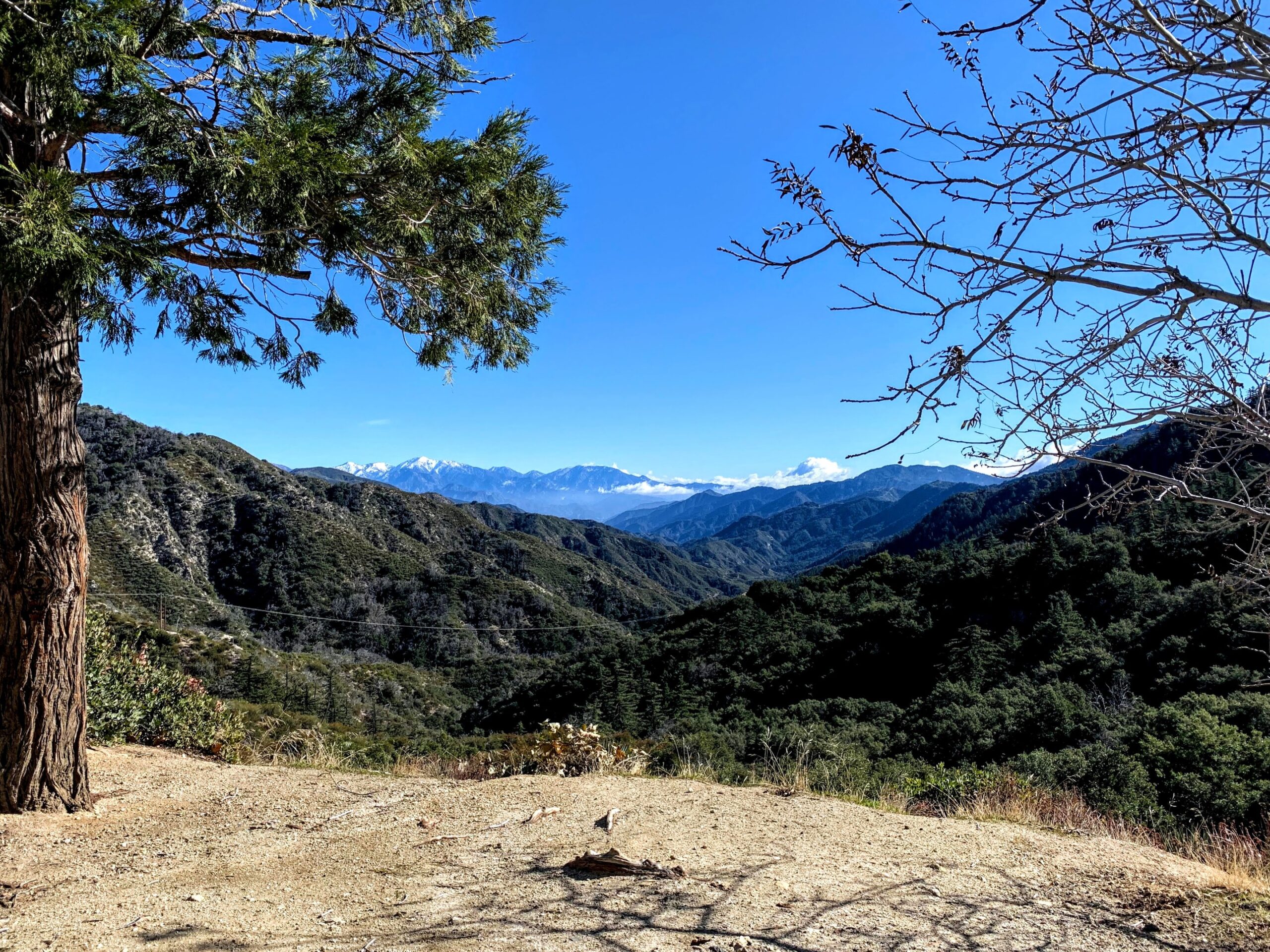 red box picnic area