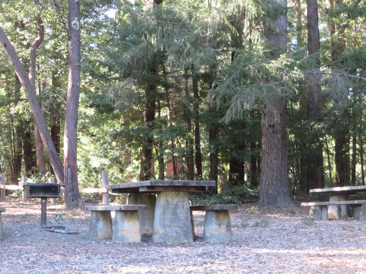 redwood picnic area huddart park