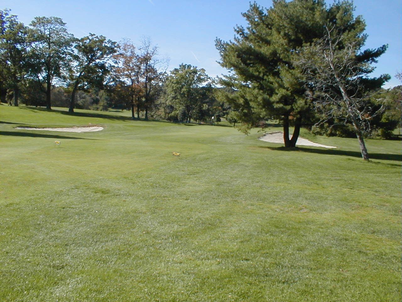 newton commonwealth golf course