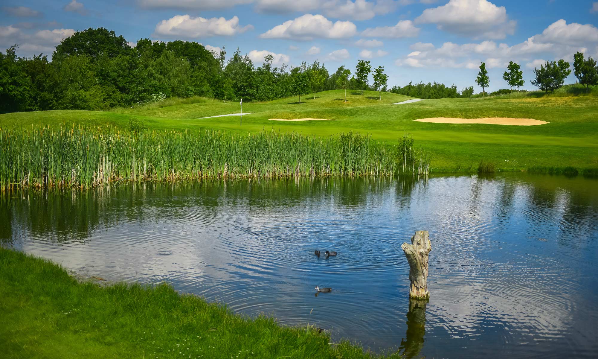 how much water does a 9hole golf course use