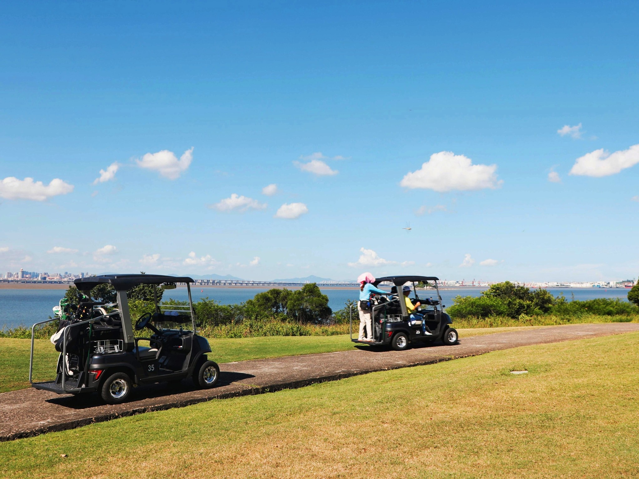 Best Golf Carts 2025