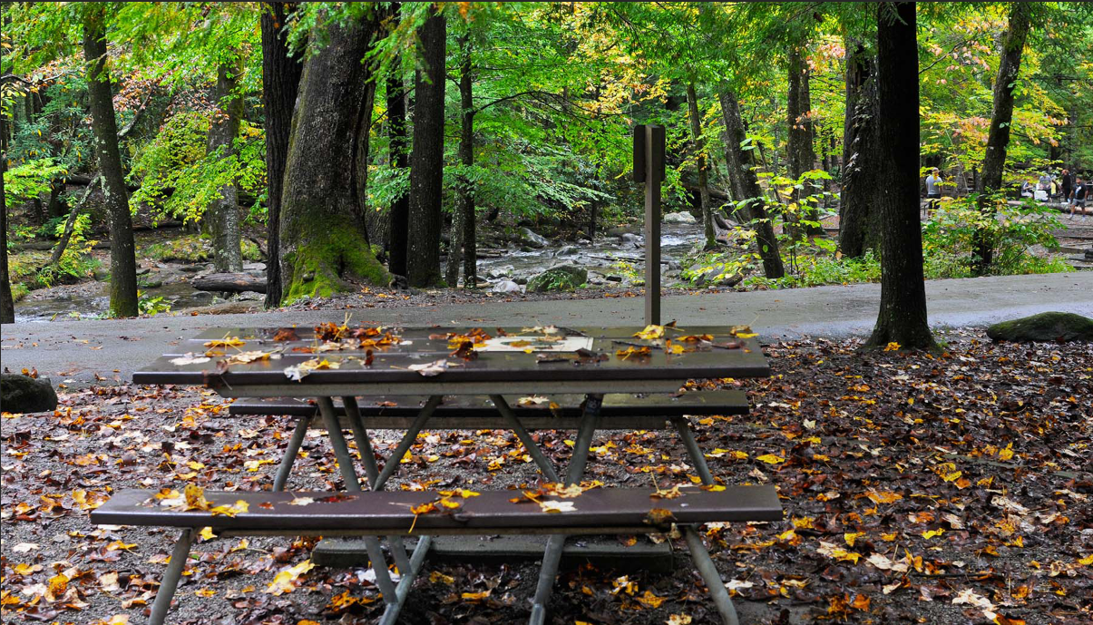 cades cove picnic area