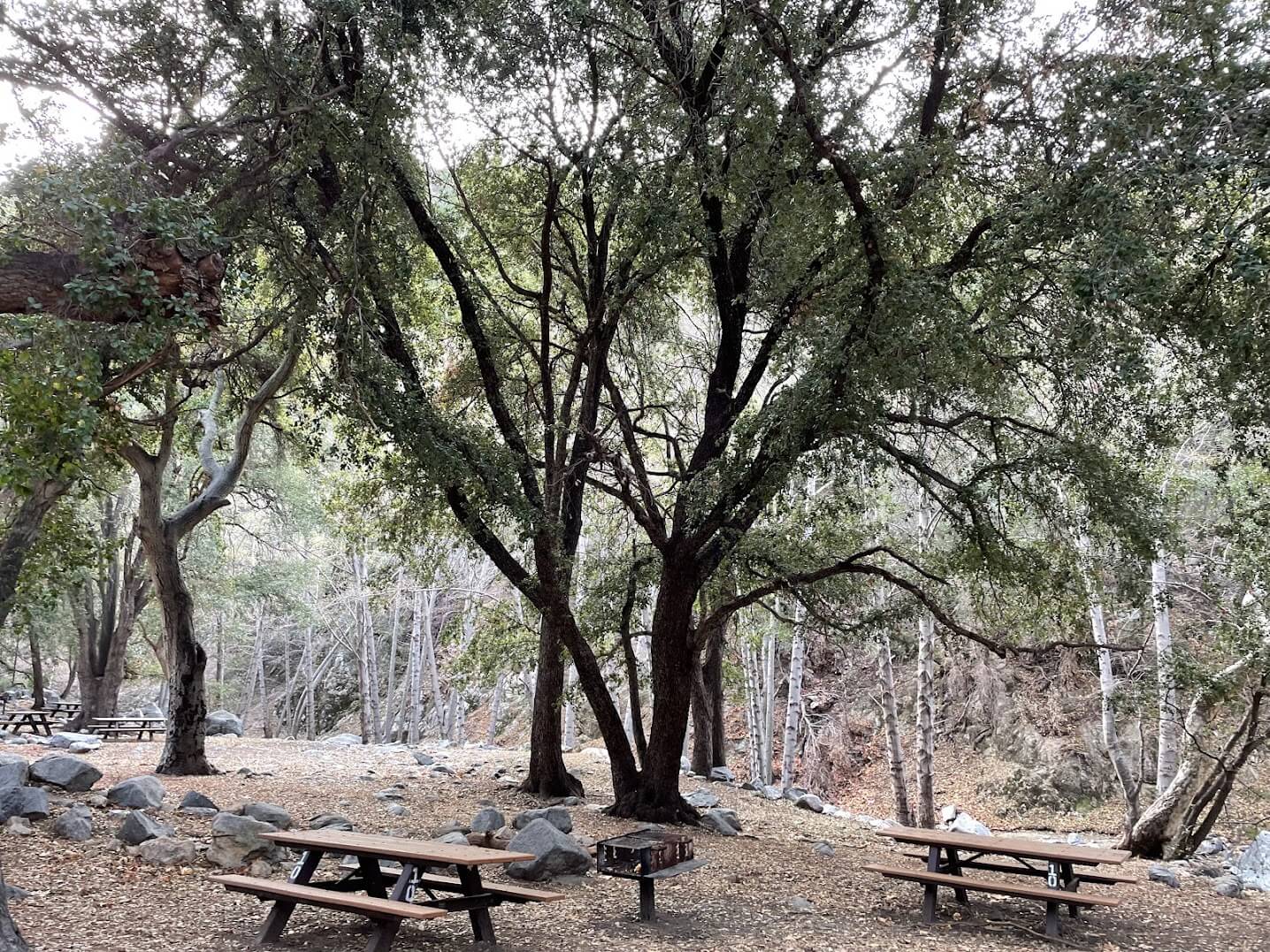 switzer picnic area