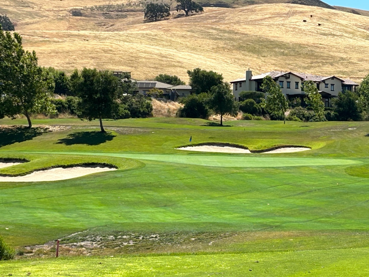 callippe preserve golf course
