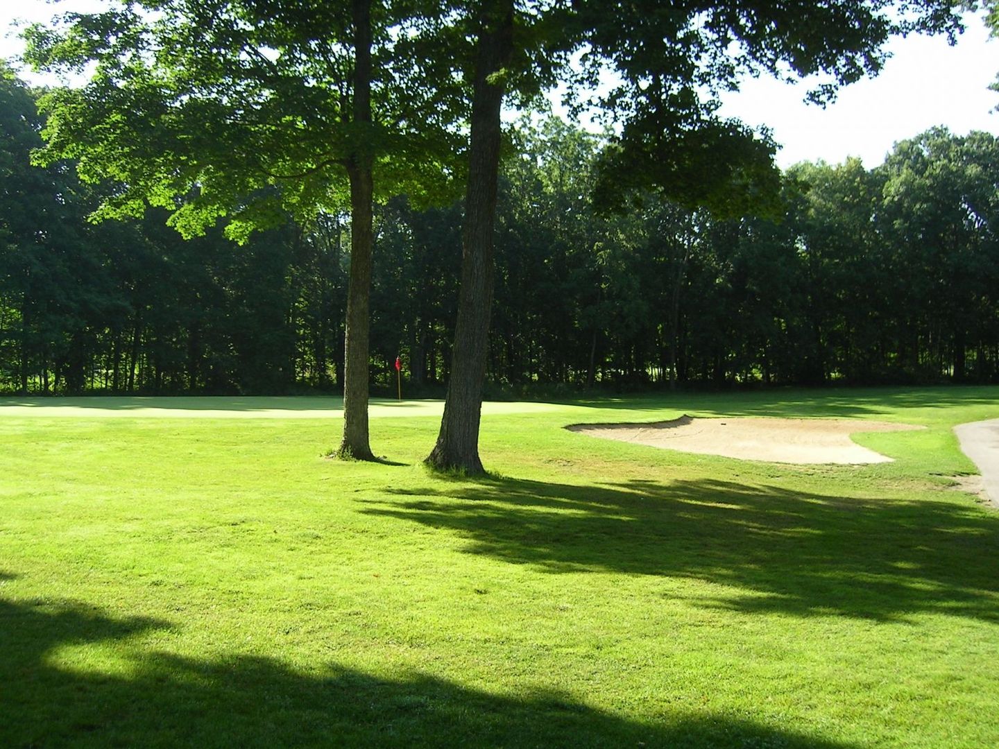 wanaki golf course