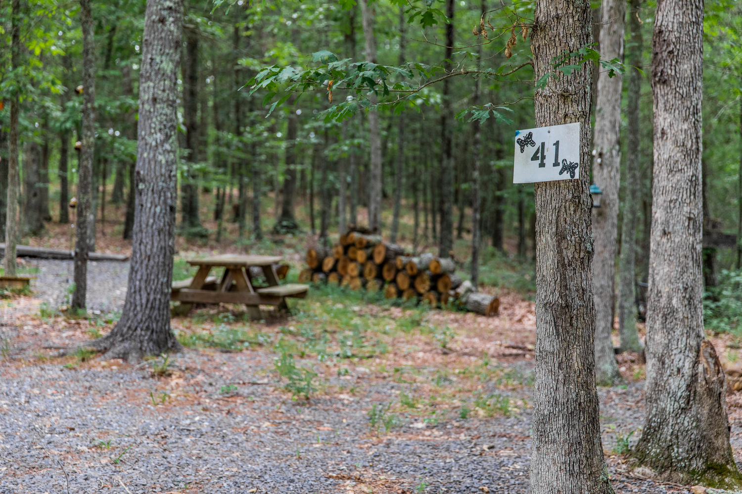 sulphur springs picnic area