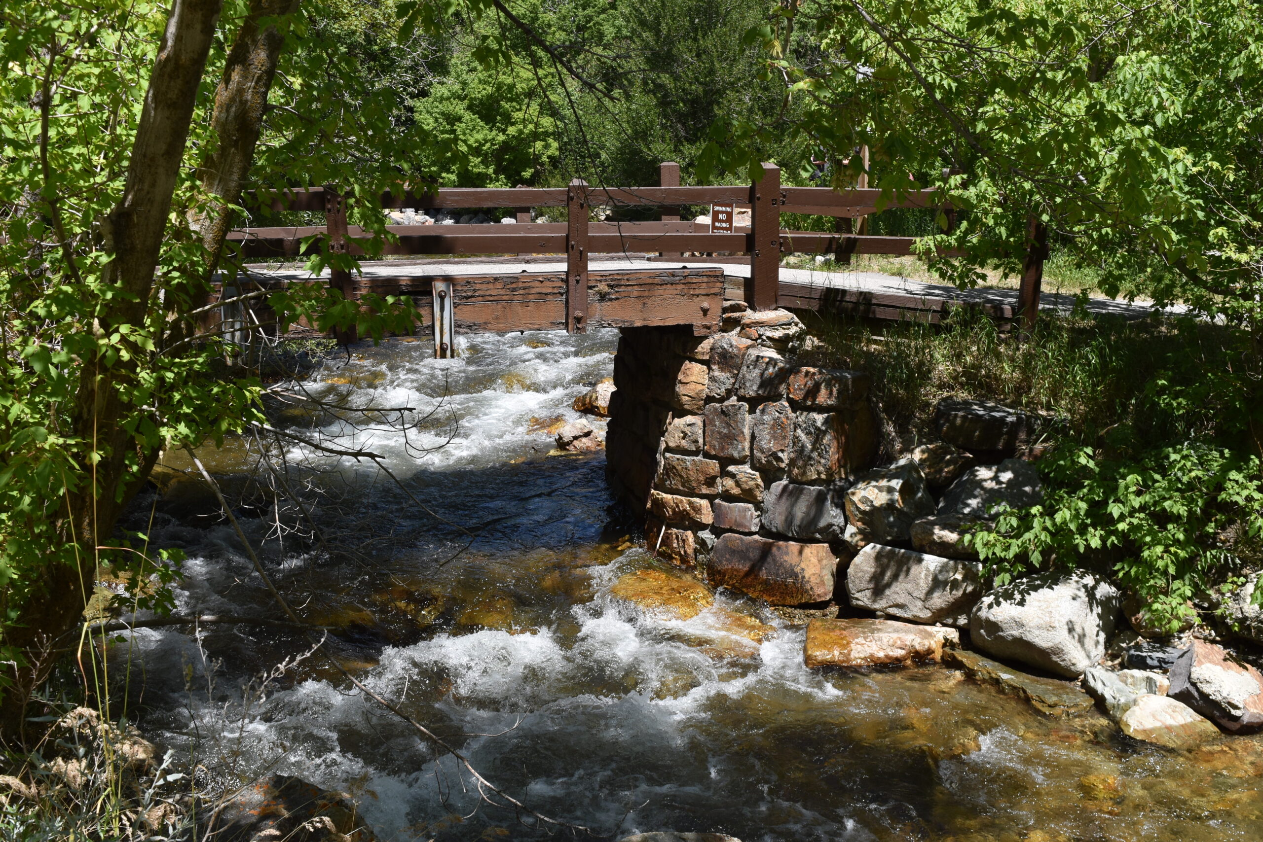 storm mountain picnic area