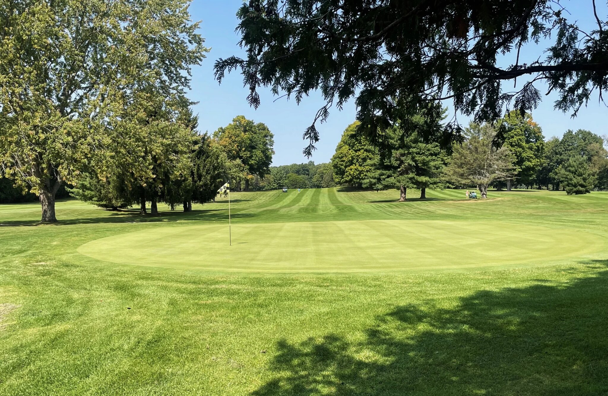 sharp park golf course