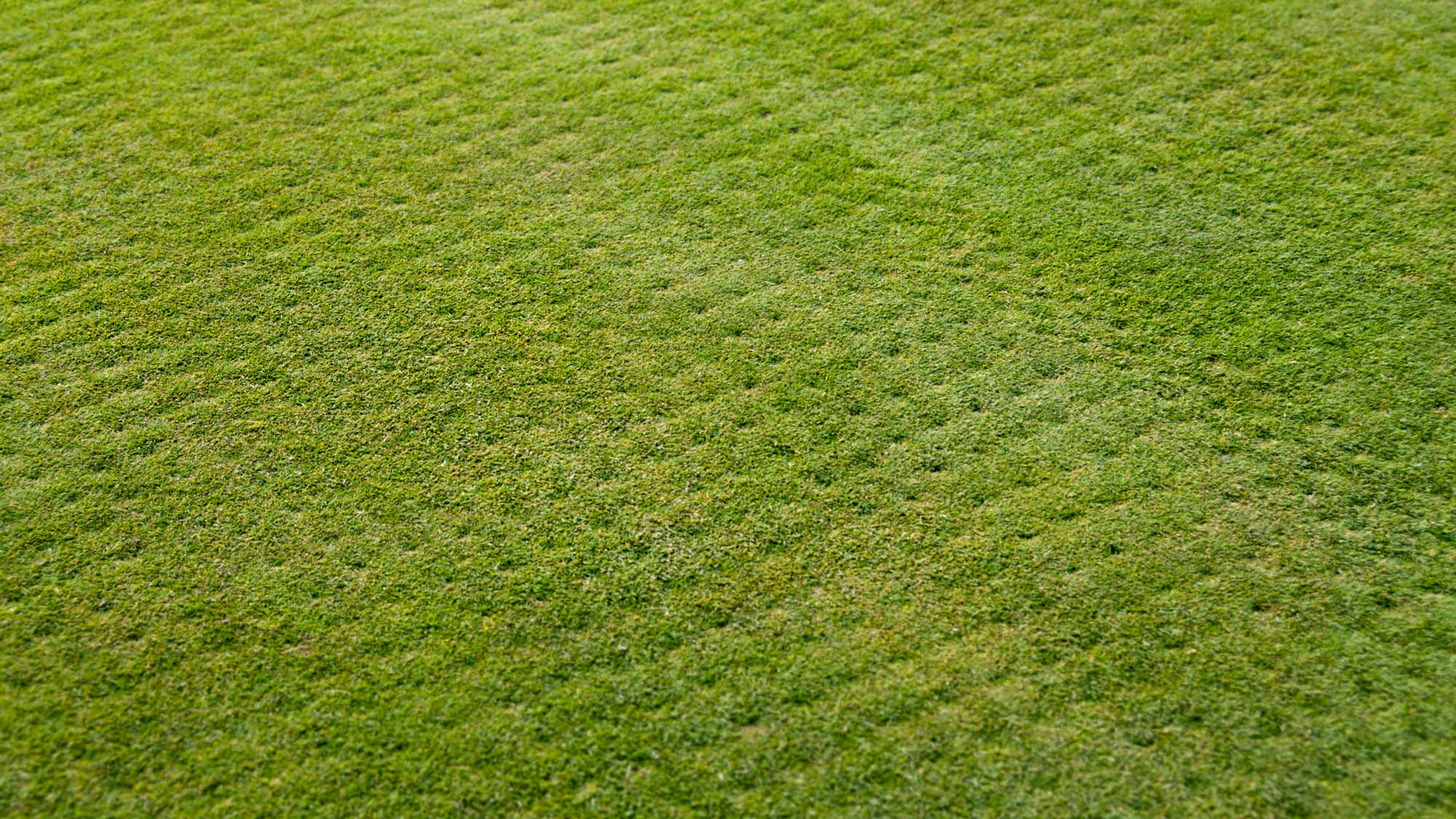 how long does aerification affect golf course