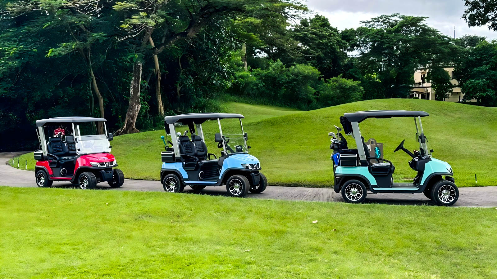 how fast does a standard golf cart go
