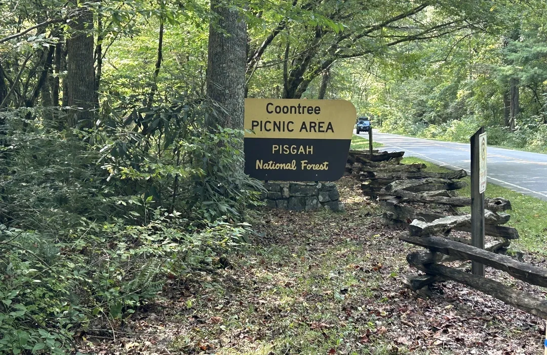 coon tree picnic area