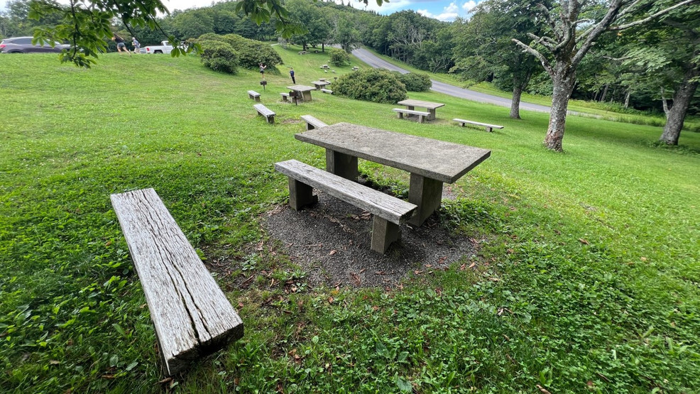 craggy gardens picnic area