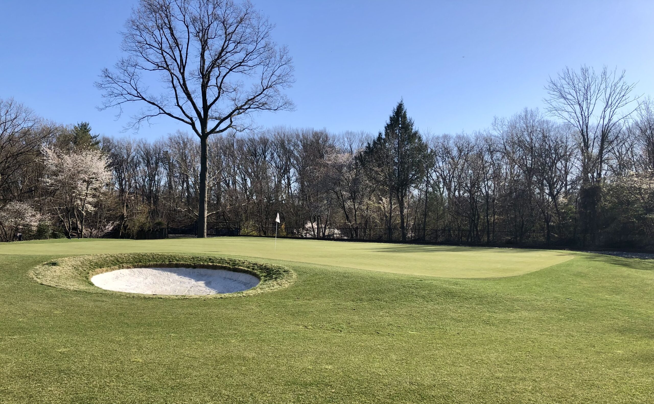 hendricks field golf course