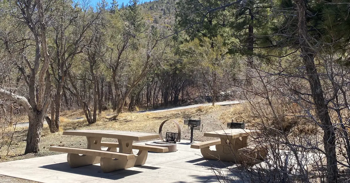 kyle canyon picnic area