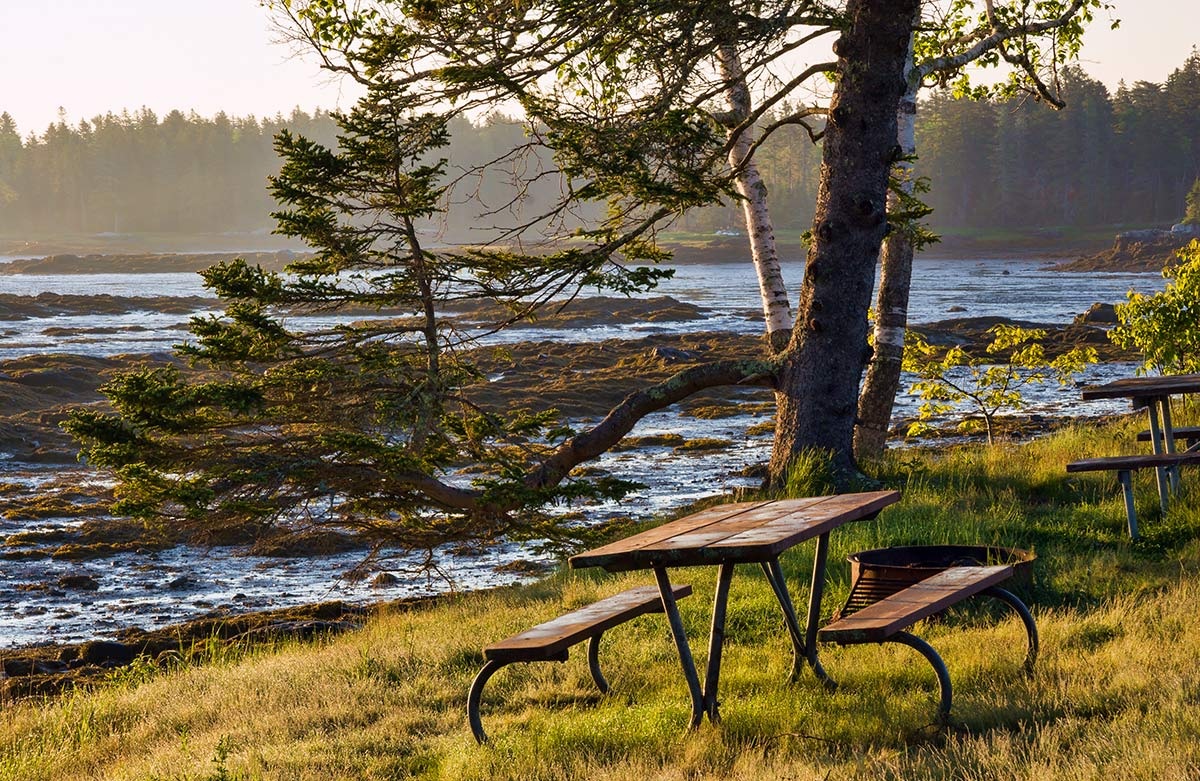 seawall picnic area