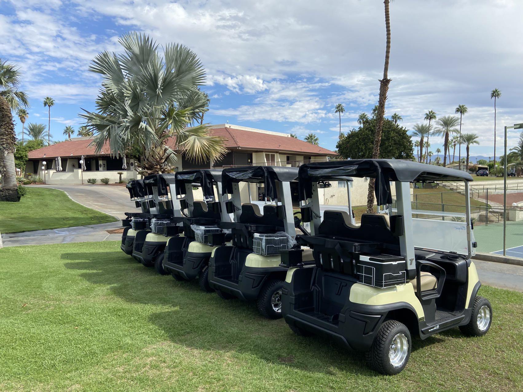 How often should an electric golf cart be serviced