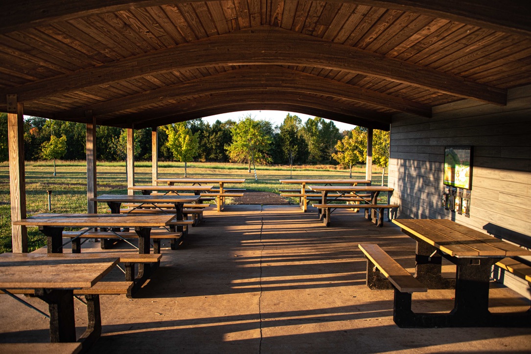 manassas battlefield park picnic area