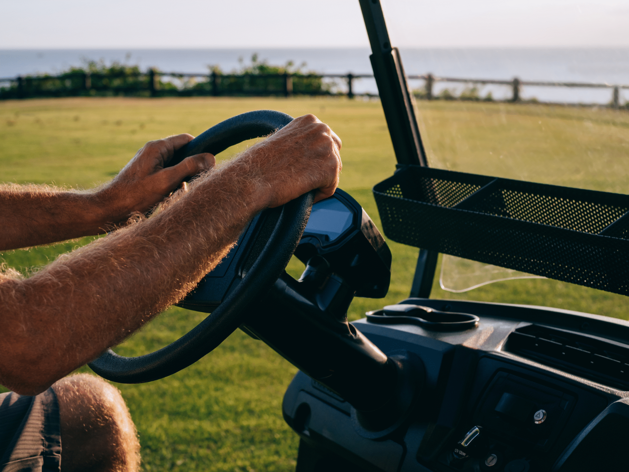 Why You Should Get an Electric Golf Cart for Your Farm Tara Electric