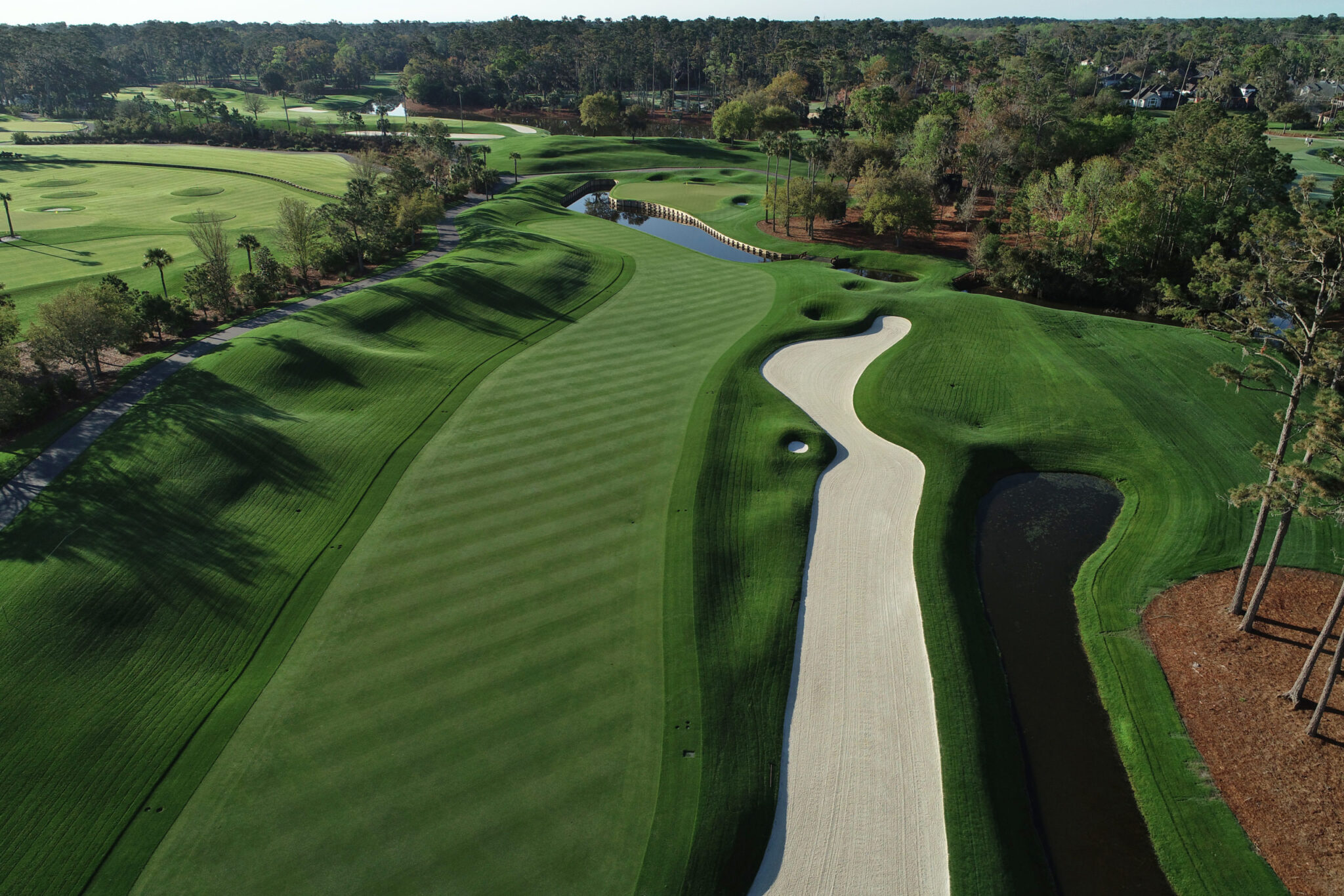 tpc sawgrass golf course