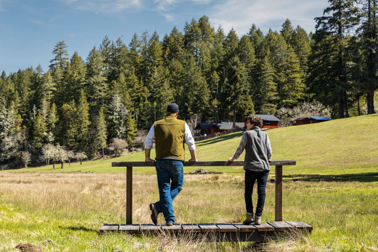 elk meadow picnic area