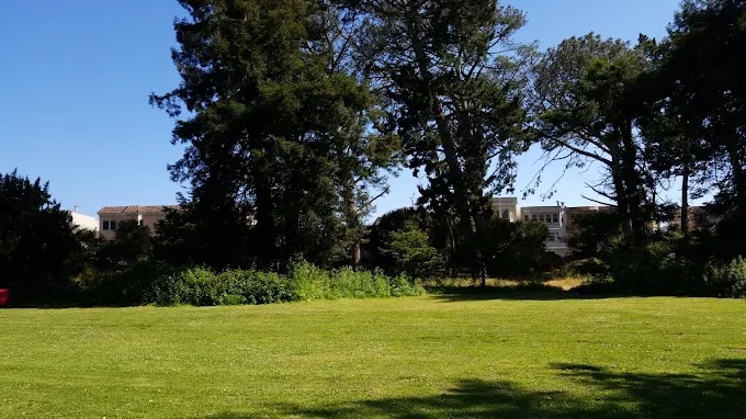 hoover redwood grove picnic area