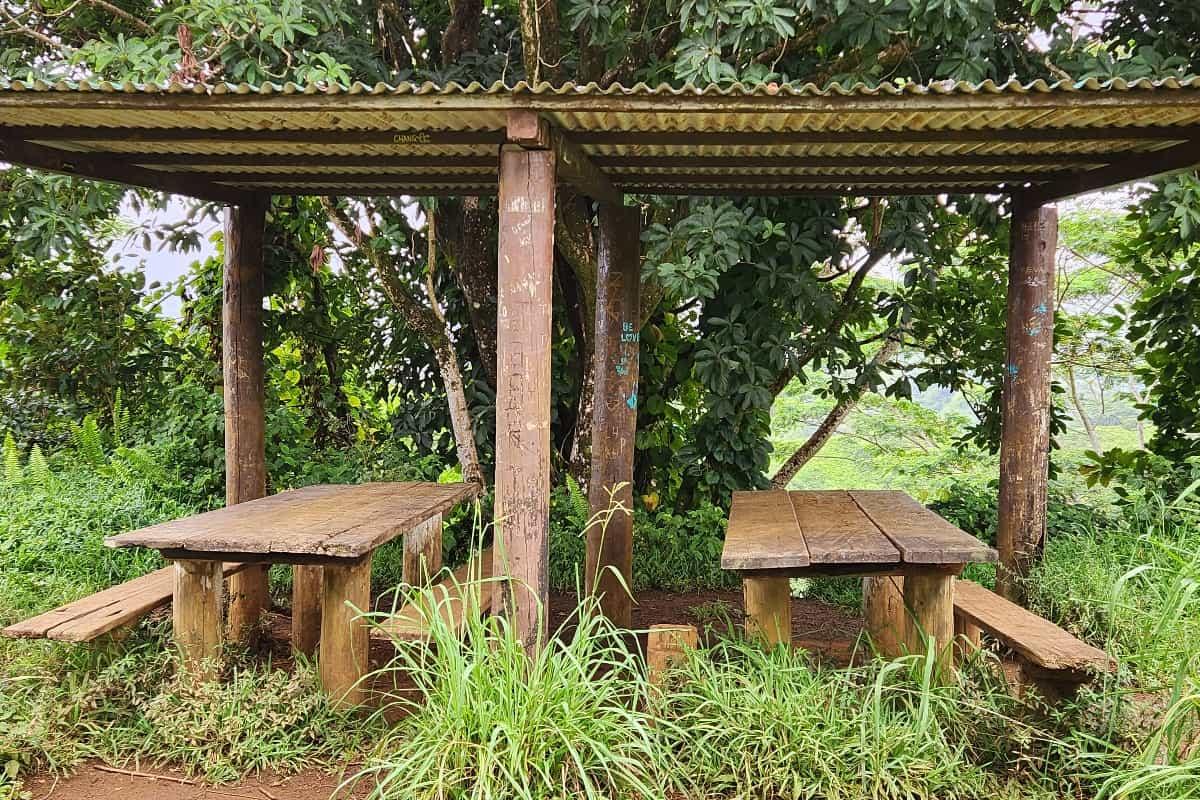 kuilau trail picnic area