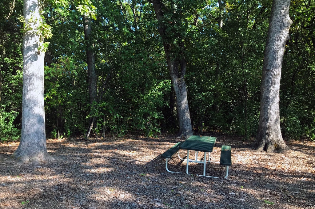acorn picnic area