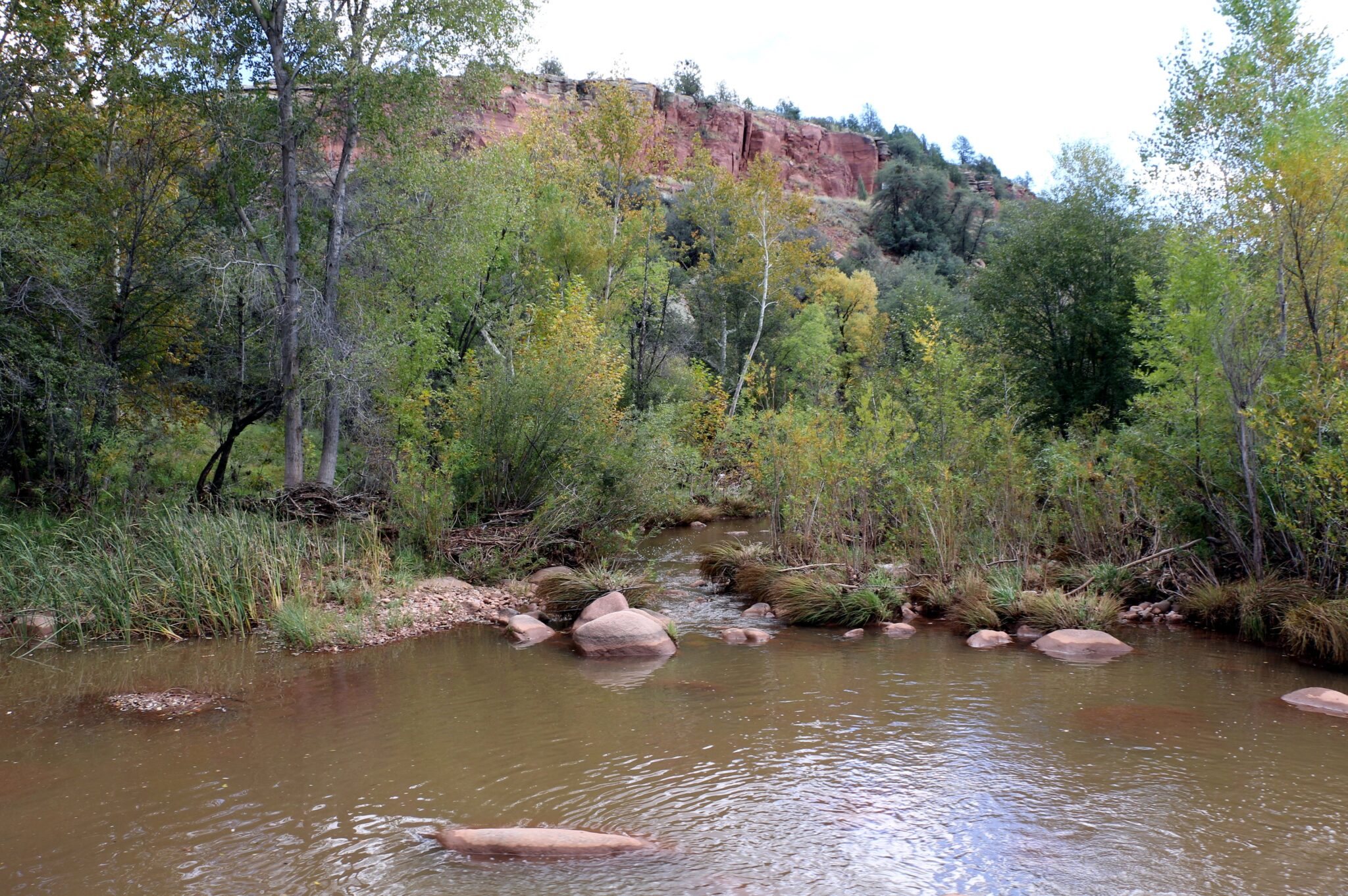 east verde picnic area