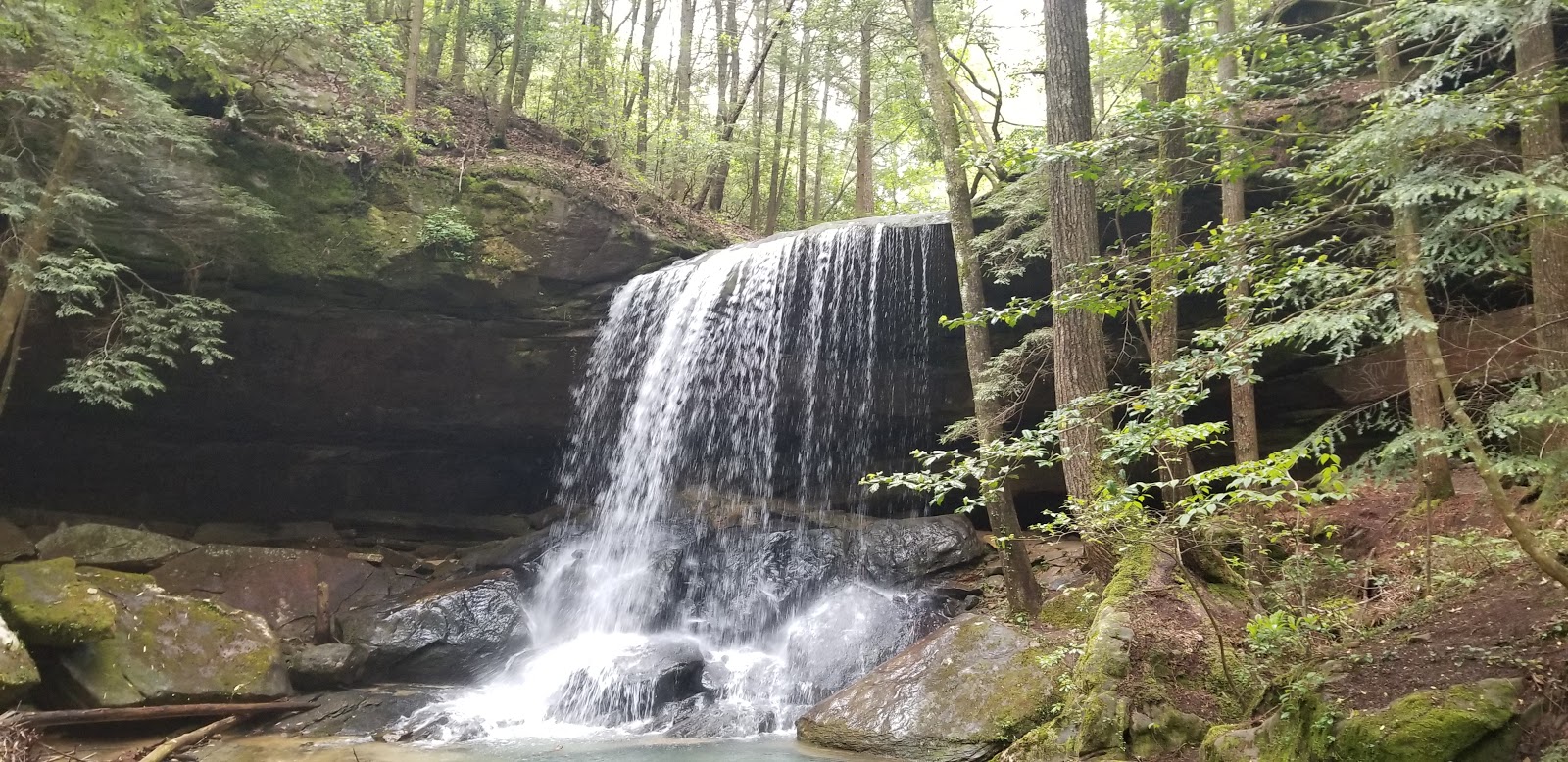 sipsey river picnic area