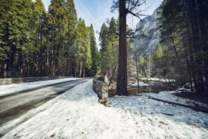 mirror lake picnic area