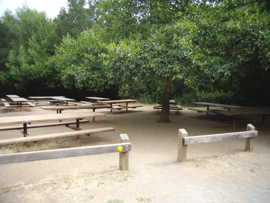 laurel picnic area
