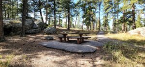 iron mountain picnic area