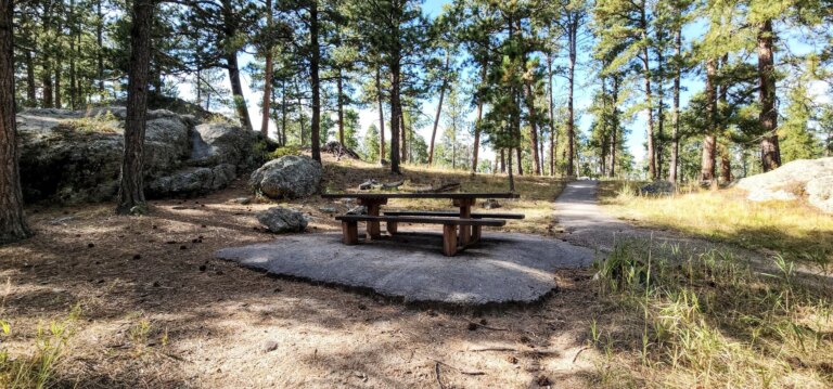 iron mountain picnic area
