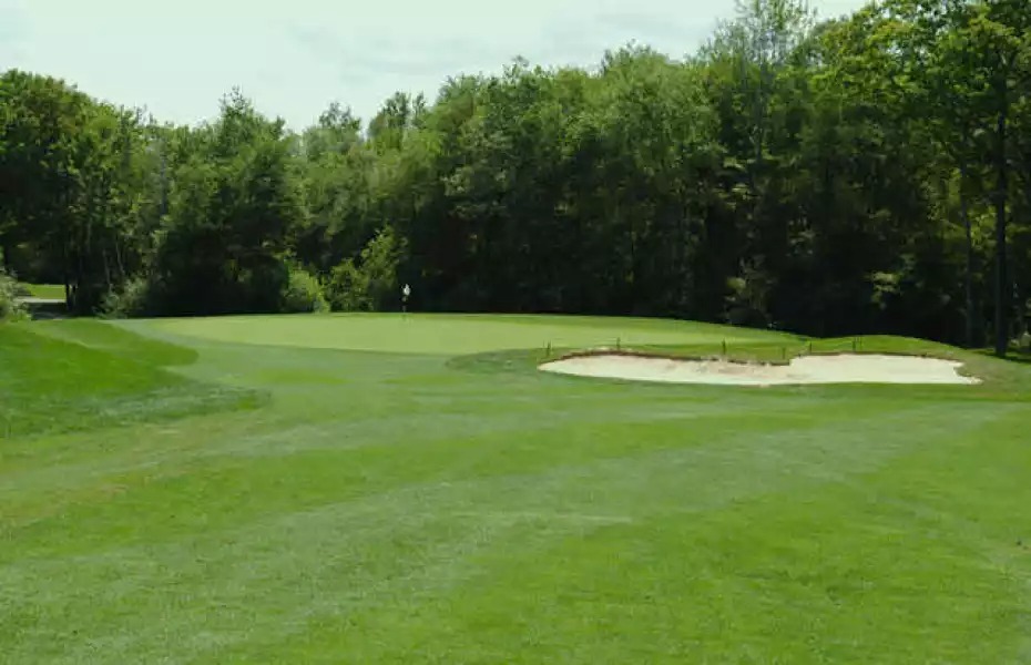 braintree municipal golf course