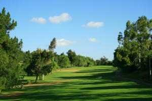 cresta verde golf course